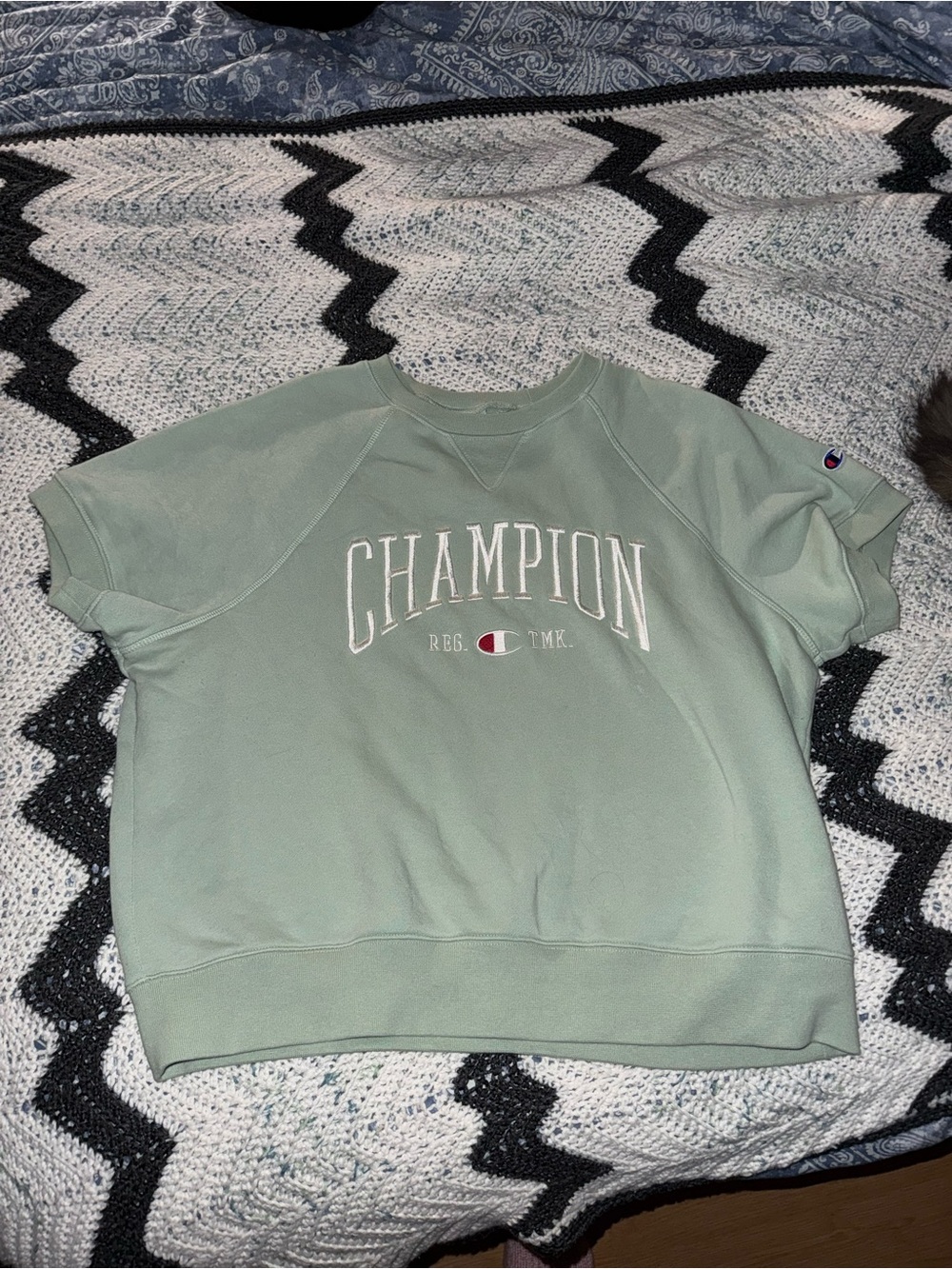 Champion Mint Green Short-Sleeve Crew Sweatshirt